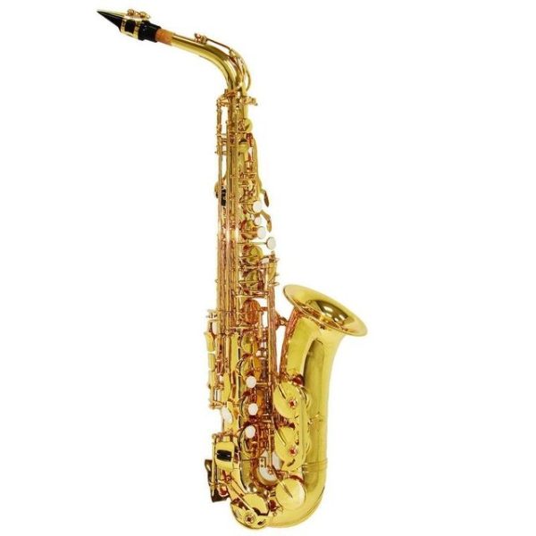 SHELTER SAXOFONE ALTO LAQUEADO DOURADO