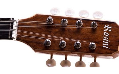 ROZINI BANDOLIM STUDIO ELETRICO NAT RB 21 ELNI