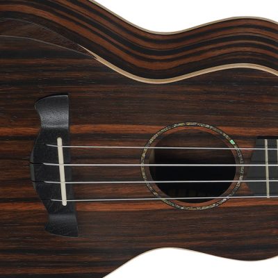 TAGIMA UKULELE CONCERT WAILUA C NTS