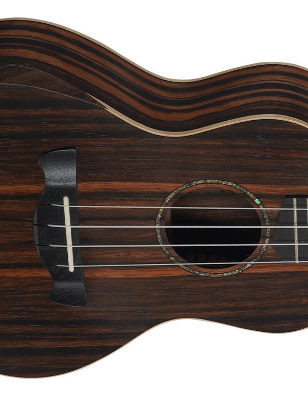 TAGIMA UKULELE CONCERT WAILUA C NTS