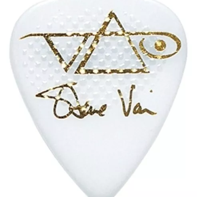 IBANEZ PALHETA STEVE VAI B1000 SVRWH