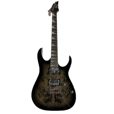 Guitarra Ibanez Grg 220 pa1 bkb