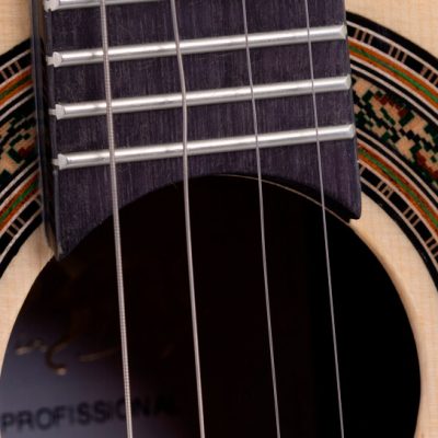 Cavaco Elétrico Rozini Profissional Rc07 atnj fishman