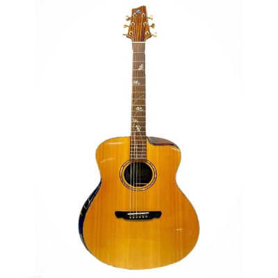 Violão Marques Gran Auditorium Aço Natural Verniz Ativo Double VA 193 Violão Marques Gran Auditorium Aço Natural Verniz Ativo Double VA 193