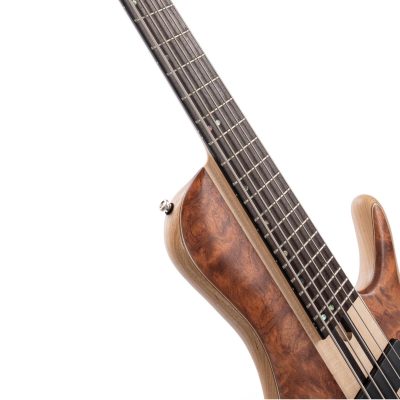 BAIXO CORT ARTISAN SERIES A5 BEYOND